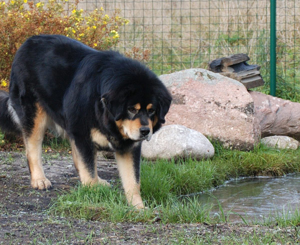 Kas jää kannab juba...