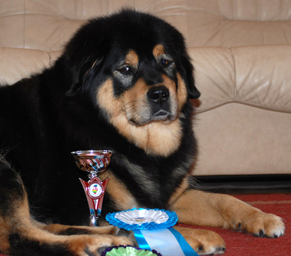BalticVeteranWinner.jpg BalticVeteranWinner.jpg