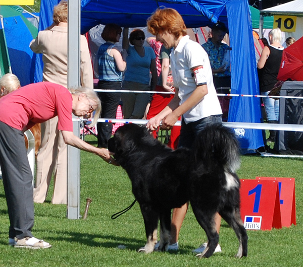 Judge Karin Bernardis Judge KarinBernardis