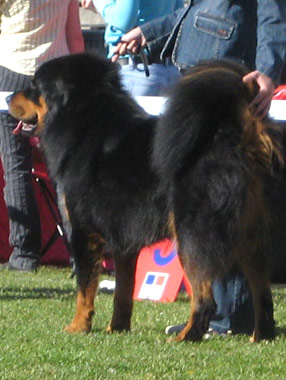 estwshow2.jpg